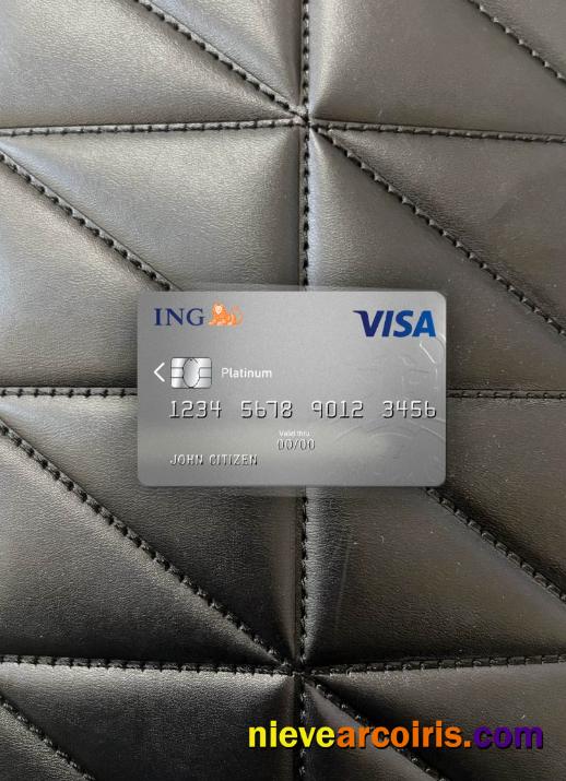 Netherlands ING bank visa card platinum photolook